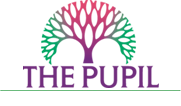 The Pupil IB School